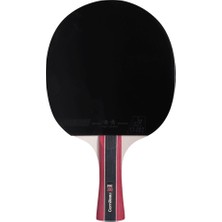 Delixa Sport 300 Ittf Onaylı Masa Tenisi Raketi