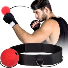 Delixa Boks Refleks Topu, Ayarlanabilir Baş Bandı ile Boks Ekipmanları, Tepki, Çeviklik, Yumruk Hızı El-Göz