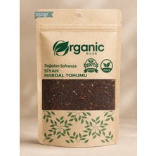 Organic Kiler Siyah Hardal Tohumu 250GR - Katkısız Vegan & Taze Mahsül