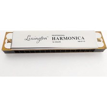 Mızıka 16 Delik Profesyonel Harmonica Kutulu