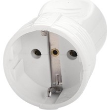 Topraklı Dişi Fiş