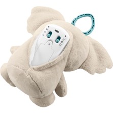 tp JBD65  Koala Arkadaşım