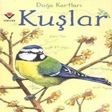Decostyle Doğa Kartları - Kuşlar
