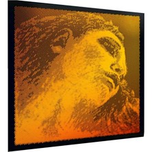 EVA415091 Evah Pirazzi Keman Altın Seti, Gümüş G, 0,6 x 10,2 x 10,2 cm