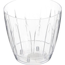OR02 Şeffaf Orkide Saksısı Tabaklı 14,3cm, 1.5 Litre Şeffaf