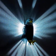 The Shogun Adaptörlü Renkli Kartal Aplik Modeli