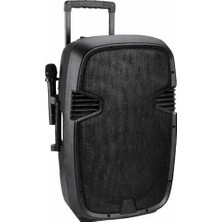 Westa Ten,profesyonel 15'' Çift El Mikrofonlu Taşınabilir Ses Sistemi, Bluetooth, Usb, Şarjlı Profesyonel Hoparlör