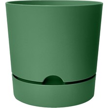 Begonya Saksı Tabaklı Drenajlı Mat Plastik Çiçek Saksısı (1 Adet, 3,3 Litre, 18CM, Yeşil)
