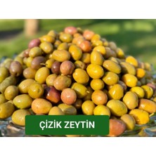 Çizik Yeşil Zeytin [kg]