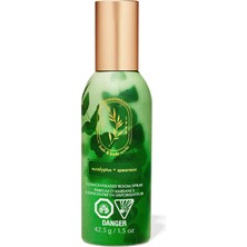 Bath & Body Works Eucalyptus Spearmint Oda Spreyi
