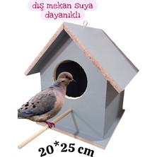 ncy Ahşap Kumru Güvercin Kuş Yuvası Dış Mekan Suya Dayanıklı 20X25 cm