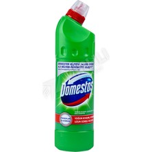 Domestos Dağ Esintisi 750 ml