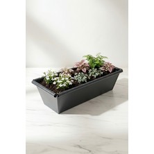 Desen Dekorasyon Metal Dikdörtgen Balkon Saksılığı - 53 cm Paslanmaz Galvaniz Dekoratif Yatay Çiçeklik