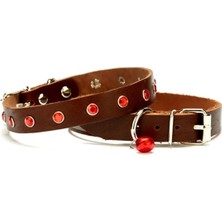 Colezium Taşlı Kedi ve Yru Köpek Tasması 1,2X26 cm Kahverengi Large