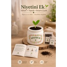 Niyetini Ek – Sürpriz Tohumlu Mini Saksı