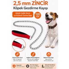 Colezium Zincir Köpek Gezdirme Kayışı Dalı Çelik & Ergonomik Tutma Saplı 2,5 MM-120 cm Kırmızı