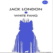 Uravas Store Whıte Fang