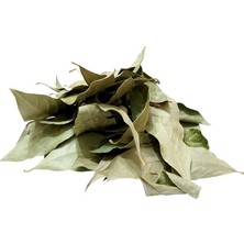 Doğal Defne Yaprağı 1000 gr Paket