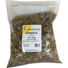 Uravas Store Ekinezya Si Doğal 1000 gr Paket