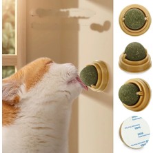 Duvara Yapışan Dönen Nanesi Cat Oyun Topu Doğal Oyuncağı