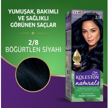 Naturals Saç Boyası Böğürtlen Siyahı 2/8 2x Paket (1218) Midastech