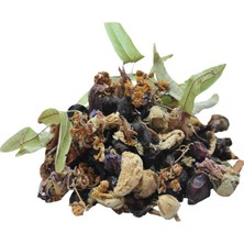 Sel Karışık Osmanlı Çayı Kış Çayı 100 gr Paket