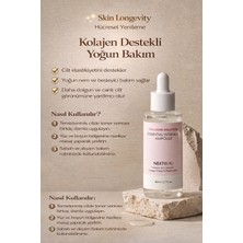 Nextbeau Collagen Solution Essential Intensive Ampoule – Yoğun Kolajenli Sıkılaştırıcı ve Yenileyici Ampul (80 Ml)