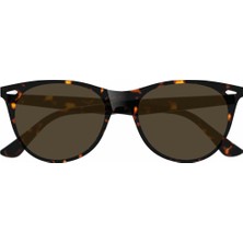 Daniel Klein DK3272COL03 Erkek Güneş Gözlüğü
