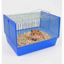Kardelen Kuş ve Hamster Taşıma Kafesi Mix 20X27,5X28 cm