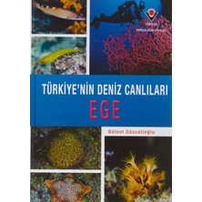 Delixa Ege - 'nin Deniz Canlıları