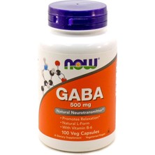 Now Foods 100 Adet Gaba Kapsül 500 Mg Vitamin B-6 ile Aromasız ve Vejetaryen Formül