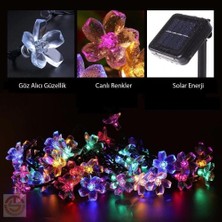 Fredeom Store Solar 30 Ledli Çiçekli Rgb Güneş Enerjisi