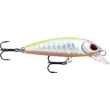 Delixa Rapala Dense Sinking Sert Balık, Küçük, Ağır, Spin Avcılığı Için , Aksiyon, Tüm Sularda Etkili, Vmc