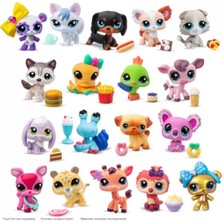 Esranın Dünyası Pet Shop Tekli Paket S4 RSPRD34-ESRDNS