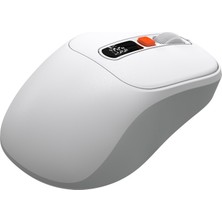 Everest Frisby FM-294WM Kablosuz Mouse