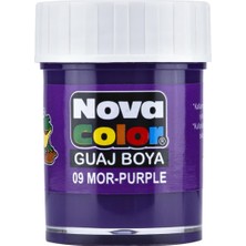 Nova Color Guvaş Boya Mor Şişe 12'li Paket
