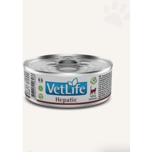 Vetlife Hepatic Kedi Konserve Maması 85GR (12 Adet) Besleyici İçerik ile Lezzetli Mama