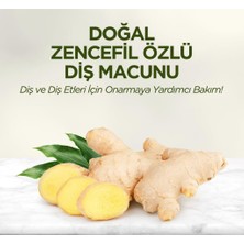 Nessi World Doğal Diş Macunu 90 gr Zencefil Özlü
