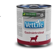 Vetlife Gastrointestinal Köpek Konserve Maması 300GR