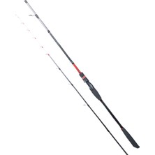 RYUJI SPECTRA SP 1.98M 70-300GR 2P BOT KAMIŞI