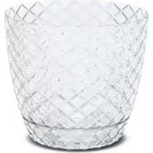 İsmiyle Al 1 No Orkide Saksı 0,75 Lt.