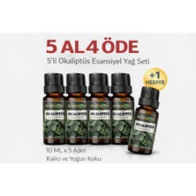 Harmoni Okaliptus Esansiyel Uçucu Koku 10ML Difüzör Esansı Buhurdanlık Yağı ve Oda Kokusu  5AL 4öde