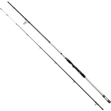 Captain 1448 Grey Spin 290cm 2 Parça Shore Jig Kamışı 14-62gr Atar