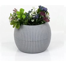 İsmiyle Al Mercan Saksı 2 Numara 0,35 Litre Su Hazneli Dekoratif Kaktüs Sukulent Saksı 11,8x9,2 cm