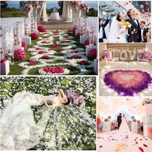 Nemere Beyaz Renk Gül Yaprağı Şekilli Konfeti 1 Paket 100 Adet