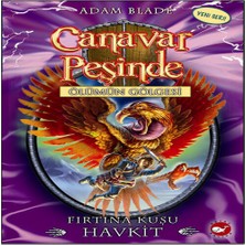 Canar Peşinde 26 - Fırtına Kuşu Hkit