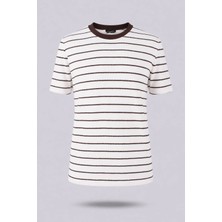 Trender Çizgili Ekru Erkek T-Shirt 4039