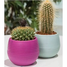 İsmiyle Al Bitki ve Kaktüs Saksısı 0,13 Lt 1 No ROYALEKS-ES01