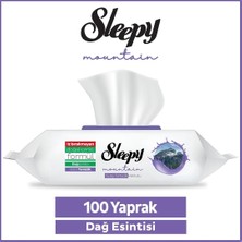 6 Adet Sleepy Mountain Yüzey Temizlik Havlusu Dağ Esintisi 100 Lü