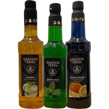 GRANDETERRA Grande Terra Üçlü Şurup Seti: Mojito, Yeşil Nane ve Blue Curacao (3 x 750 Ml)